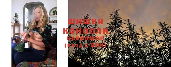 твердый Инсар