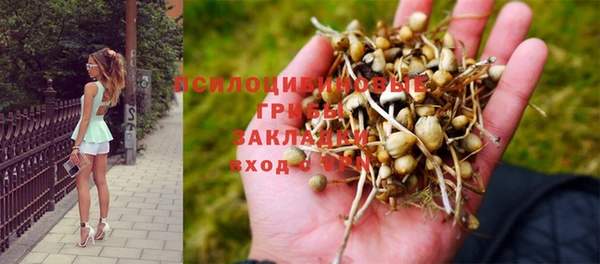 mix Каменногорск